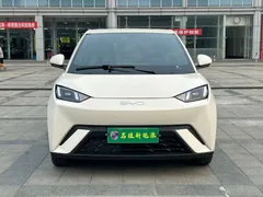 BYD Seagull 2024 — фото 2