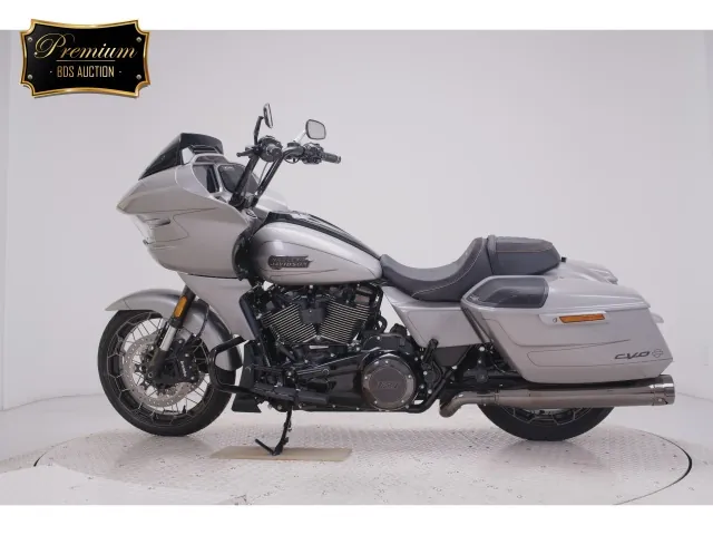 Harley-Davidson FLTRXSE1980CVO 2023, серый, фото 2