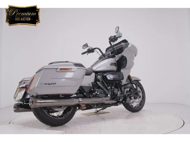 Harley-Davidson FLTRXSE1980CVO 2023, серый, фото 5
