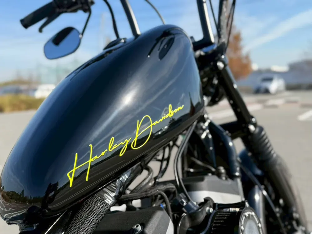 Harley-Davidson XL883R 2008, фото 8