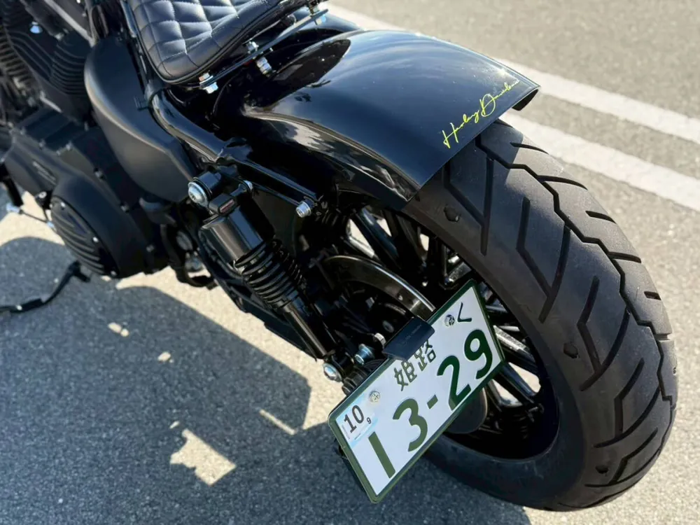 Harley-Davidson XL883R 2008, фото 10