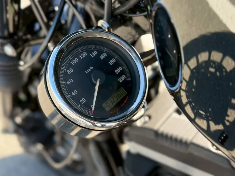 Harley-Davidson XL883R 2008, фото 2