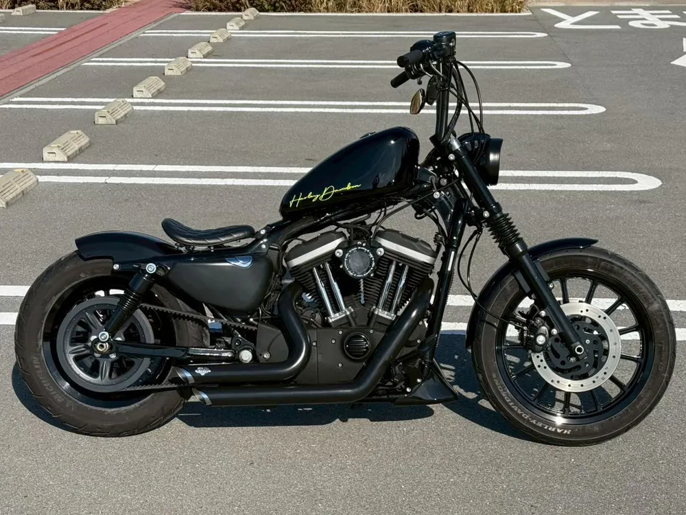 Harley-Davidson XL883R 2008, фото 3