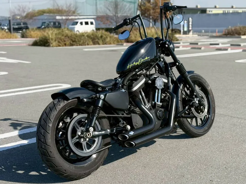Harley-Davidson XL883R 2008, фото 4