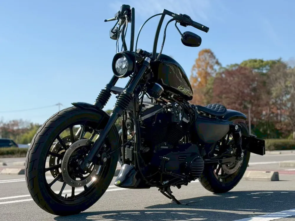 Harley-Davidson XL883R 2008, фото 5