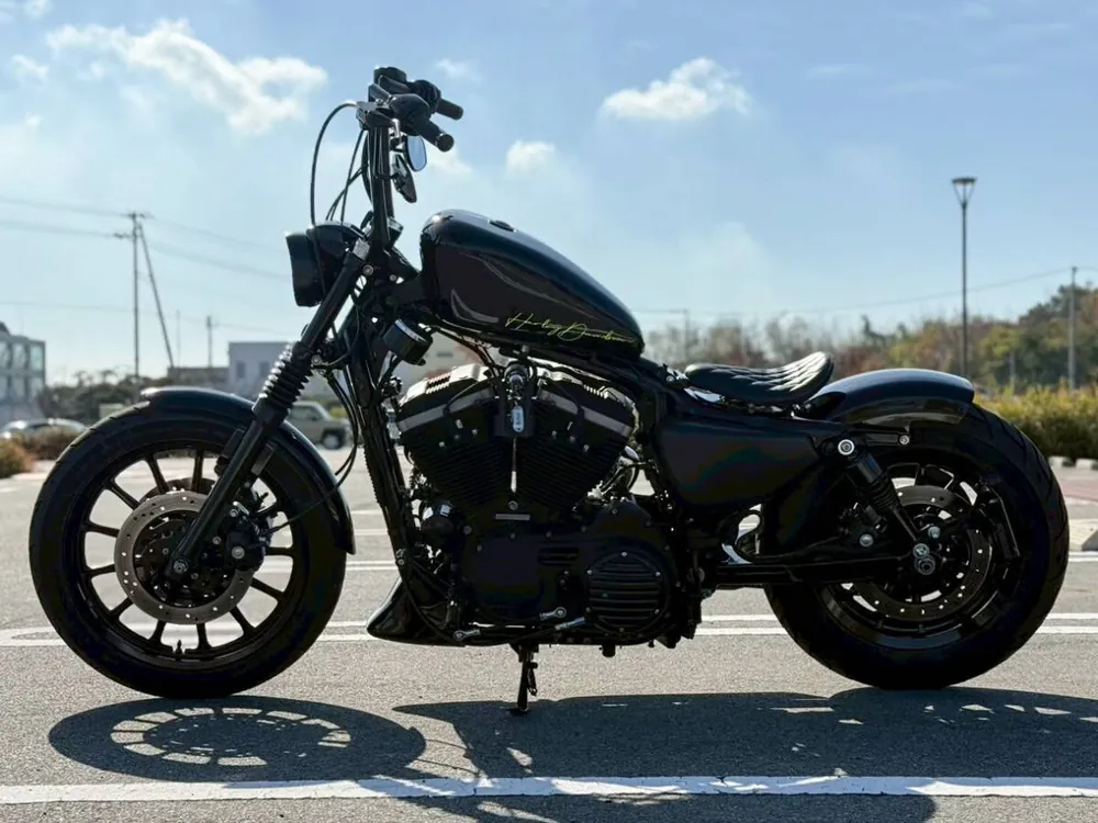 Harley-Davidson XL883R 2008, фото 6