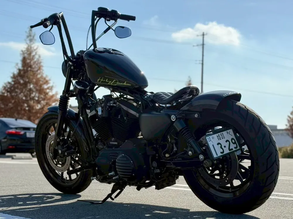 Harley-Davidson XL883R 2008, фото 7