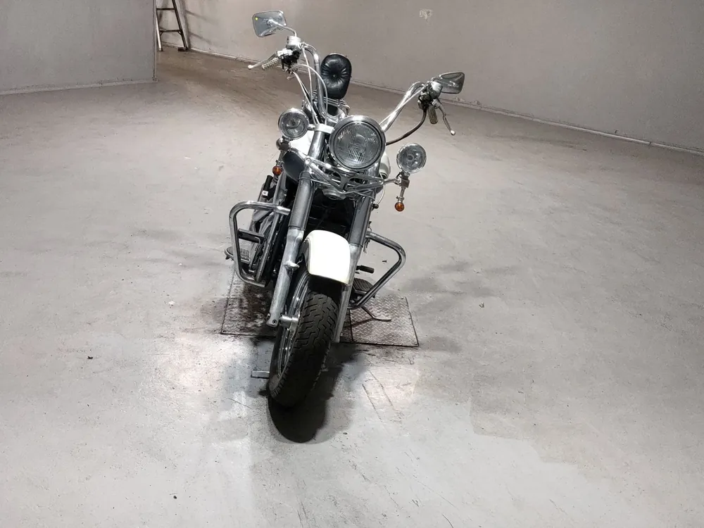 Kawasaki Vulcan 1500 Classic 1998, white/black, фото 3