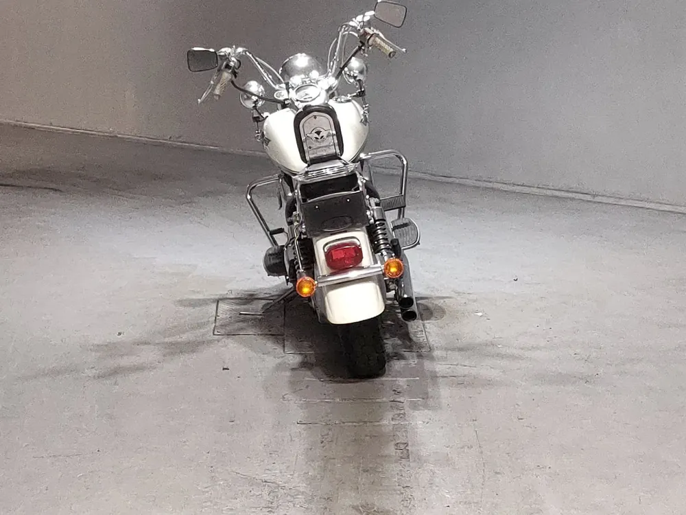 Kawasaki Vulcan 1500 Classic 1998, white/black, фото 4