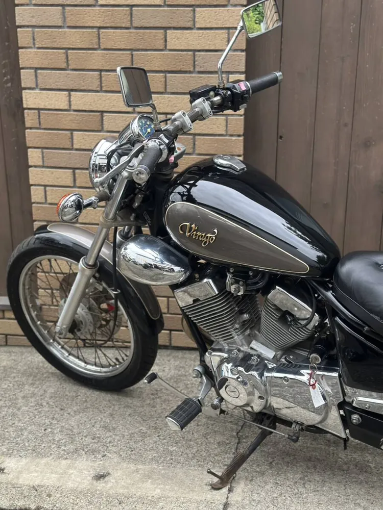 Yamaha Virago 250 1992, фото 8