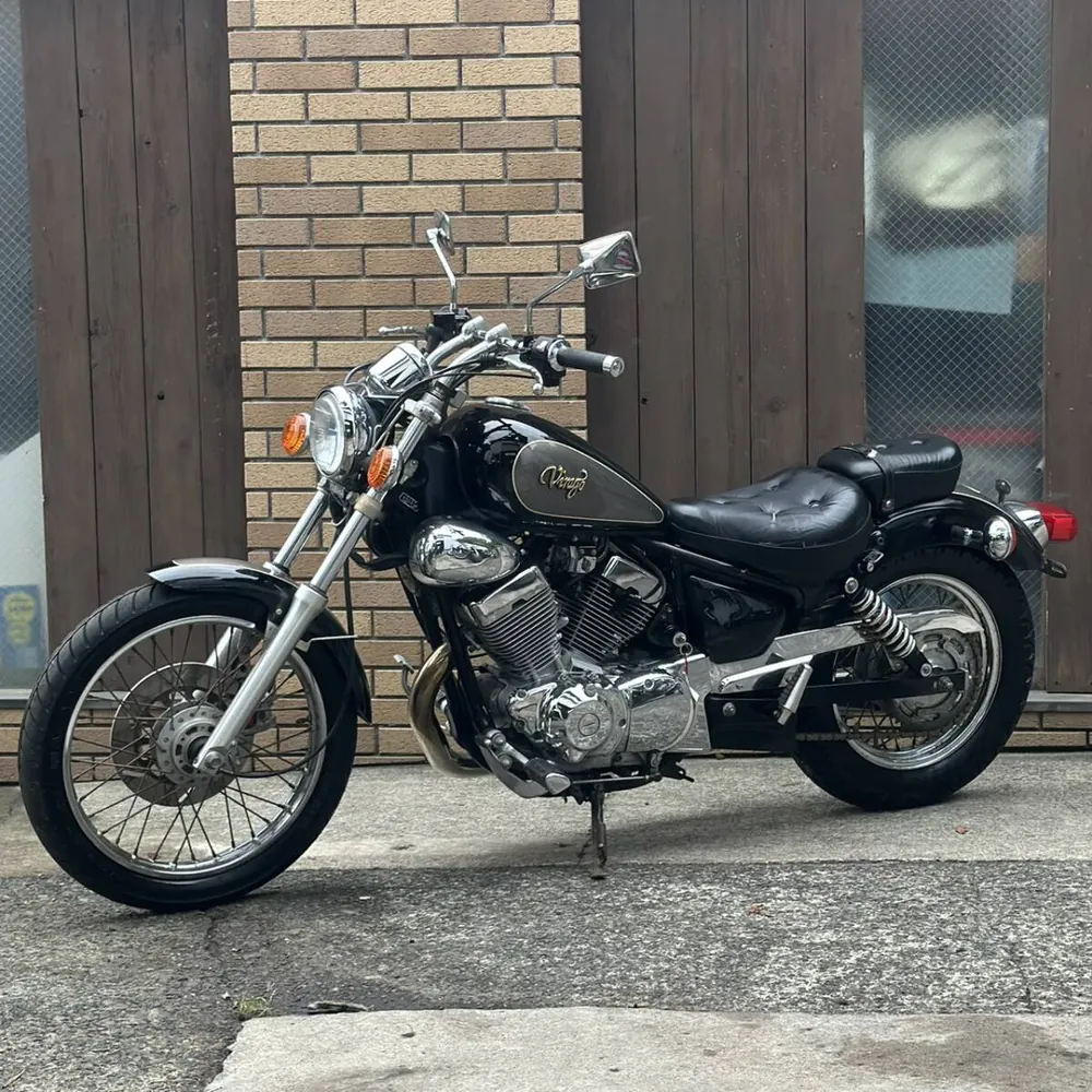 Yamaha Virago 250 1992, фото 6