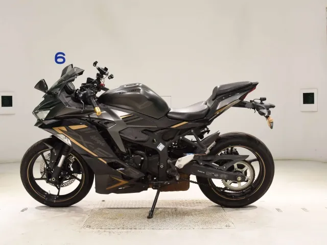 Kawasaki Ninja ZX-25R, matt gun, фото 2