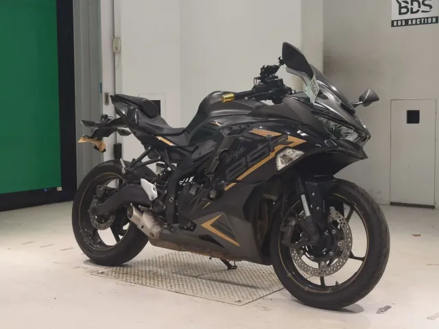 Kawasaki Ninja ZX-25R, matt gun, фото 3