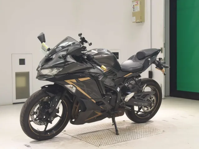 Kawasaki Ninja ZX-25R, matt gun, фото 4