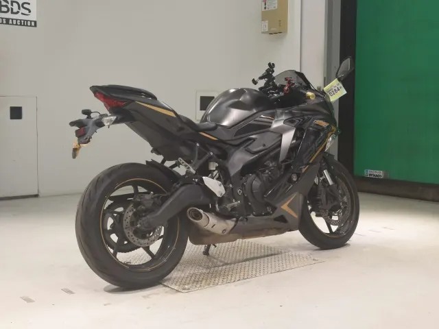 Kawasaki Ninja ZX-25R, matt gun, фото 5