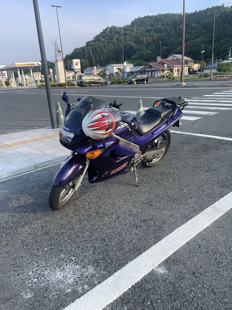 Kawasaki ZZ-R250 1992, фото 3