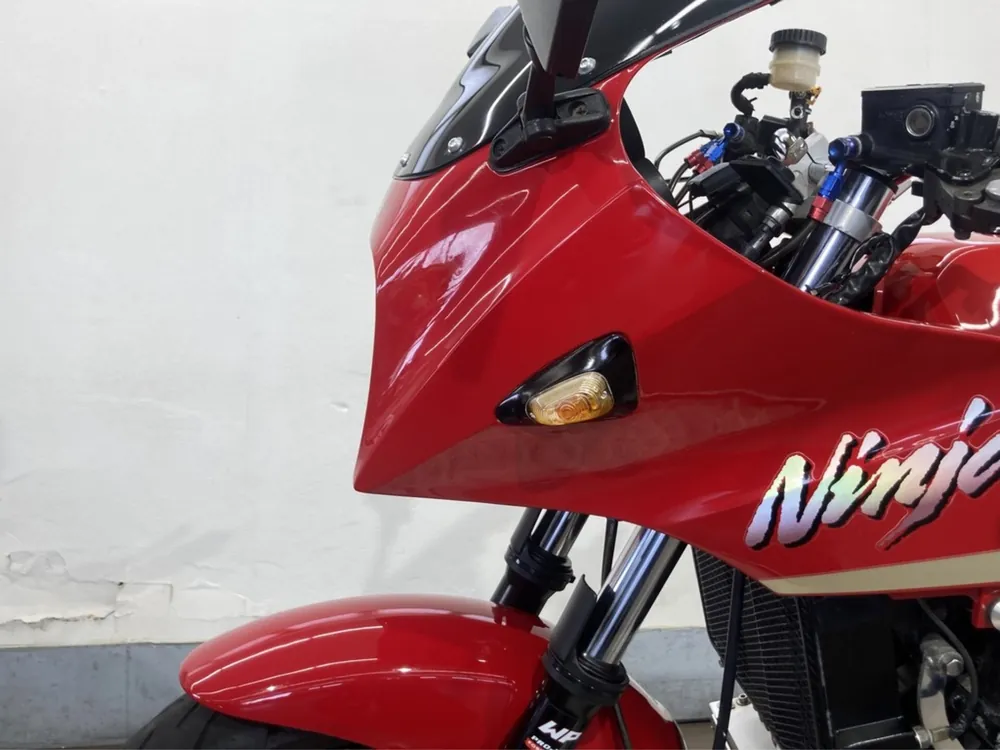 Kawasaki GPZ900R Ninja 1998, gray / red, фото 5
