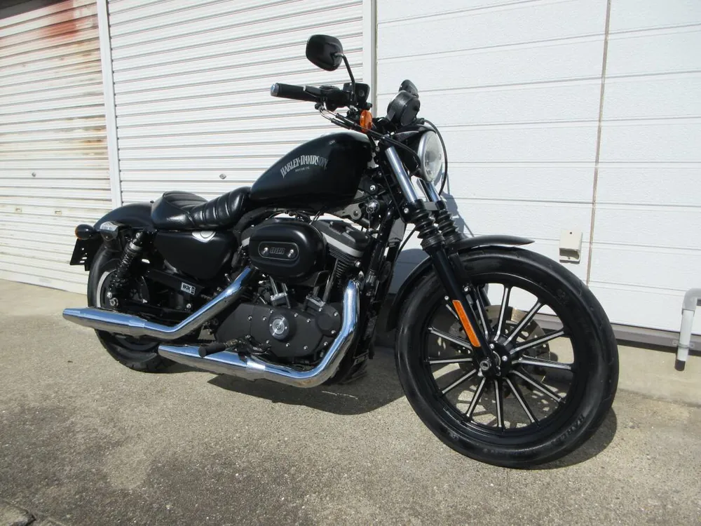 Harley-Davidson XL883N 2013, фото 3