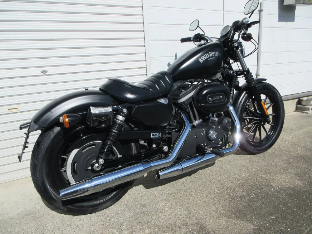 Harley-Davidson XL883N 2013, фото 4