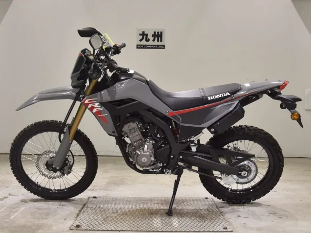 Honda CRF250 Rally, серый, фото 2