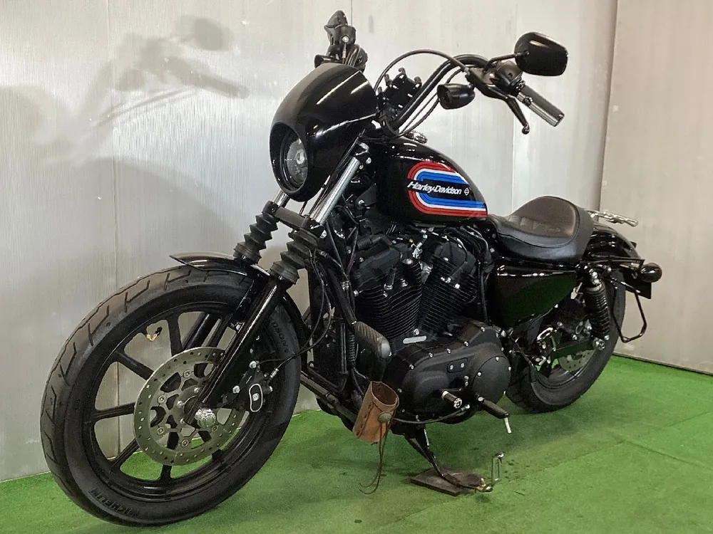 Harley-Davidson Sportster 1200NS Iron 2019, фото 5