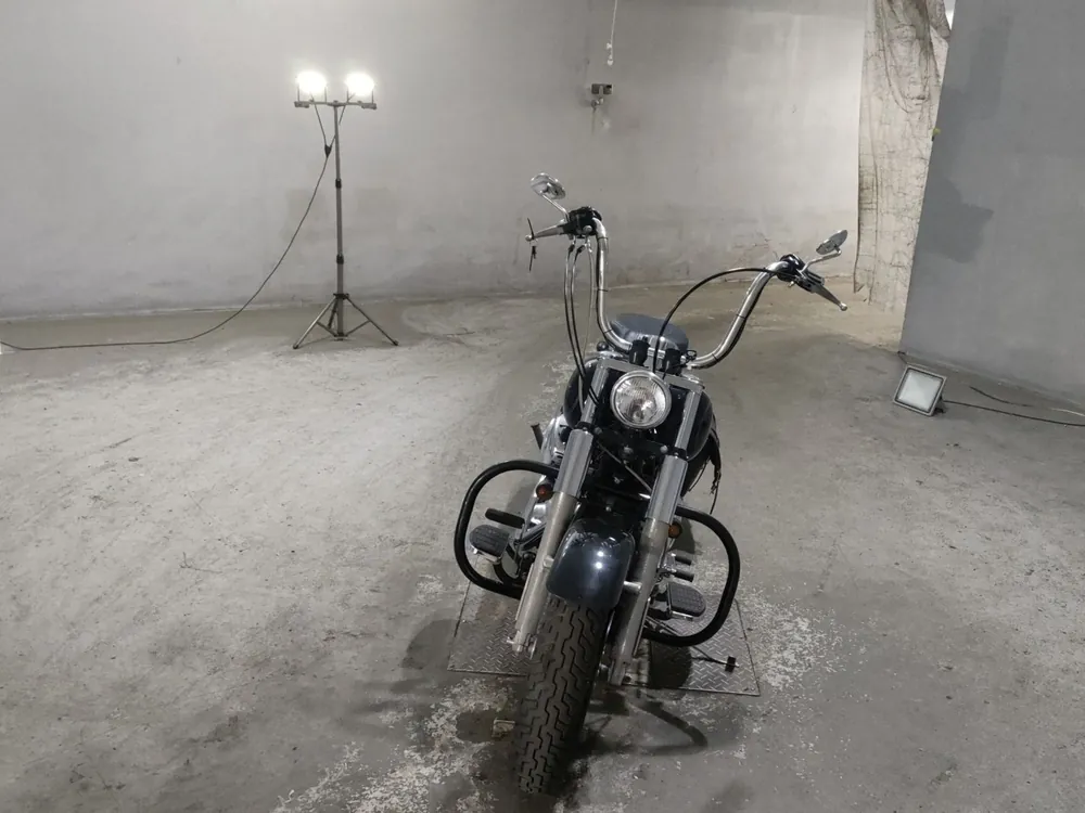 Harley-Davidson Fat Boy 2004, чёрный, фото 3