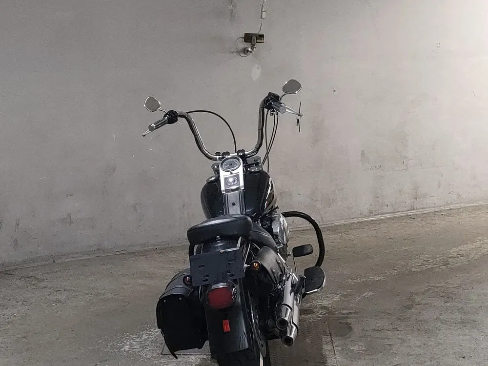 Harley-Davidson Fat Boy 2004, чёрный, фото 4