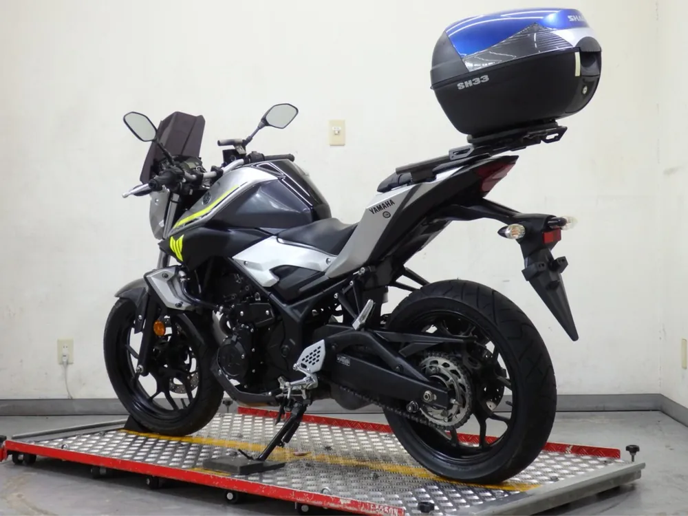 Yamaha YZF-R25, silver/gray, фото 4