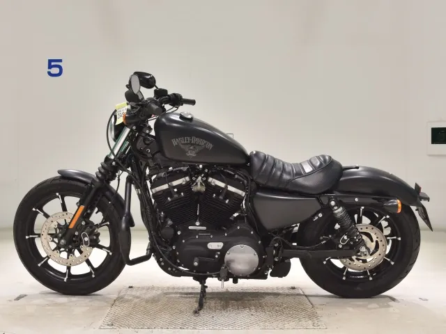 Harley-Davidson XL883N 2018, matt black, фото 2