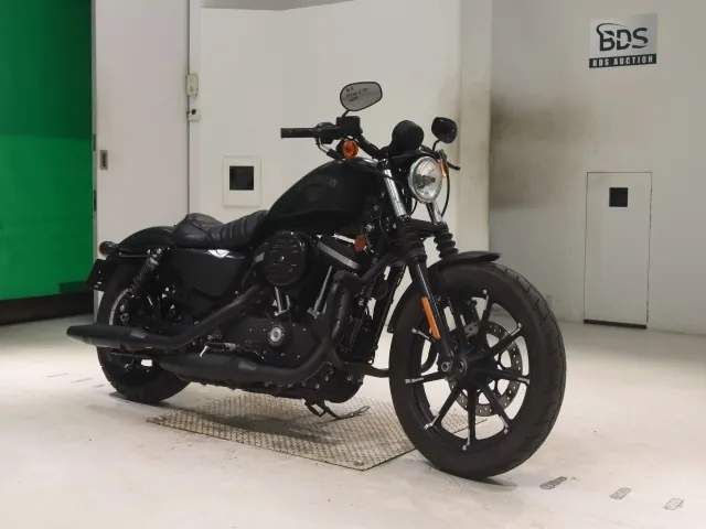 Harley-Davidson XL883N 2018, matt black, фото 3