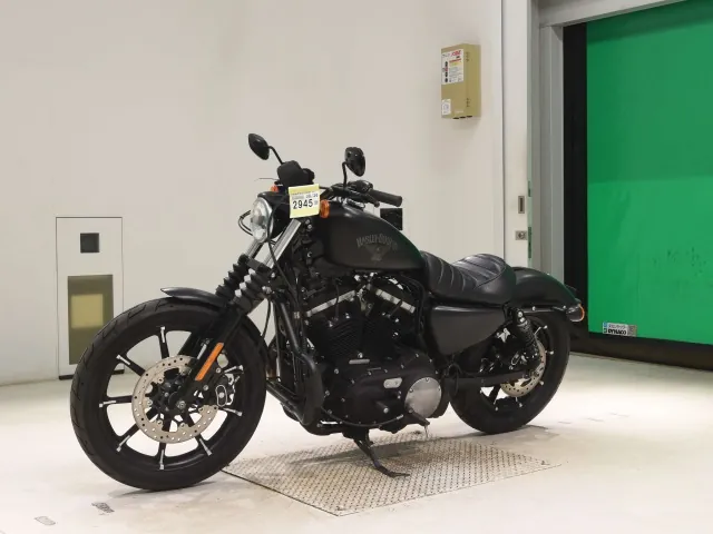Harley-Davidson XL883N 2018, matt black, фото 4