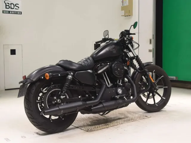 Harley-Davidson XL883N 2018, matt black, фото 5