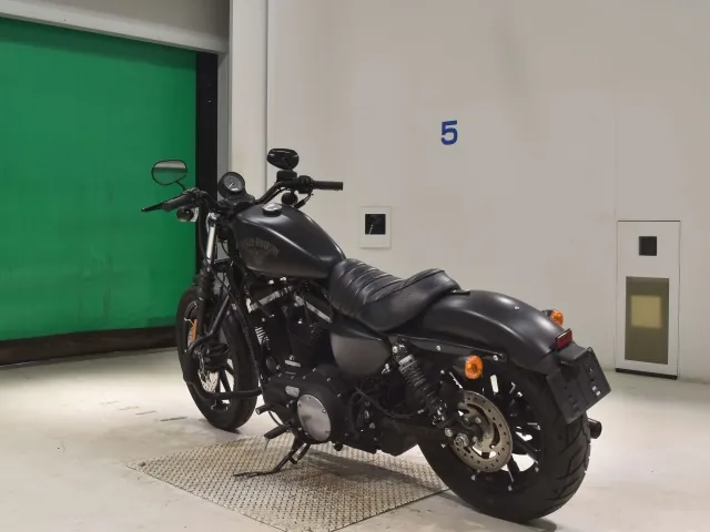 Harley-Davidson XL883N 2018, matt black, фото 6