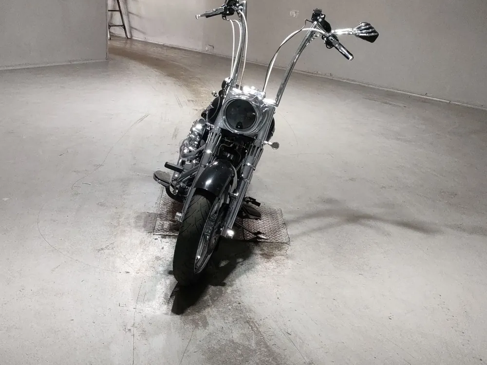 Harley-Davidson FLSTF1580 2011, чёрный, фото 3