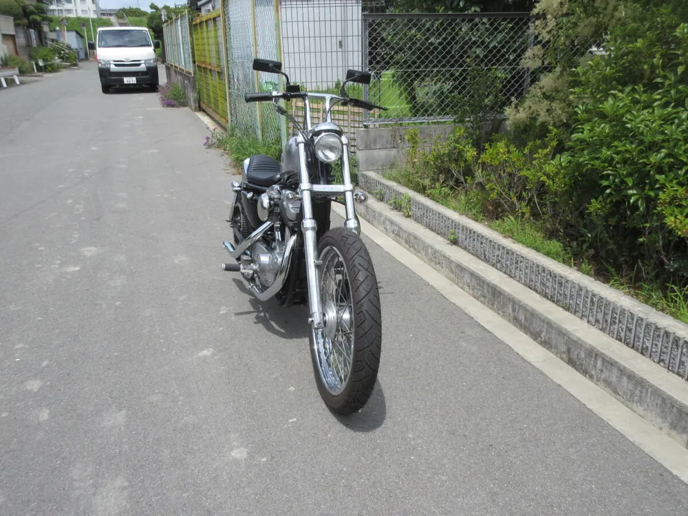 Harley-Davidson XLH883 2003, фото 6