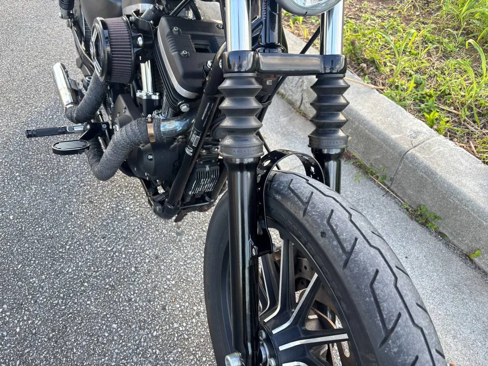 Harley-Davidson XL883N Iron 883 2014, фото 10