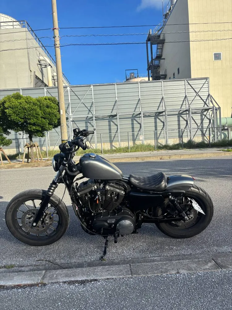 Harley-Davidson XL883N Iron 883 2014, фото 3