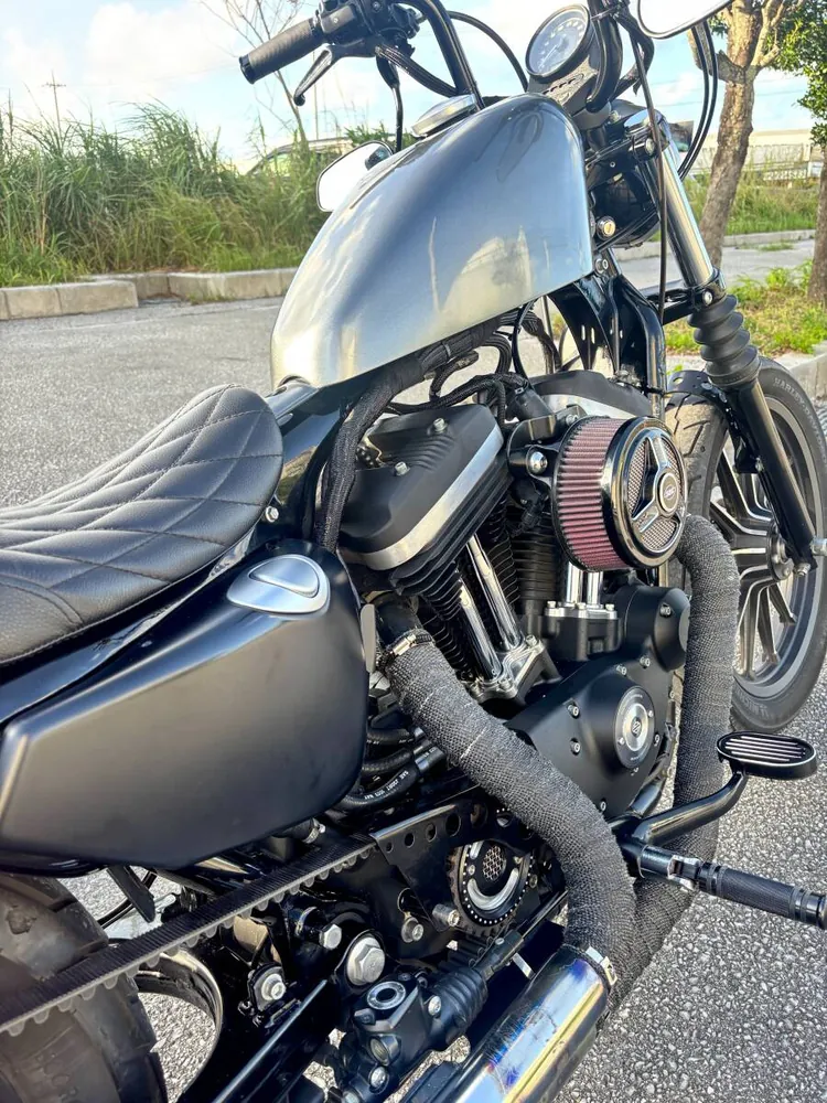 Harley-Davidson XL883N Iron 883 2014, фото 4