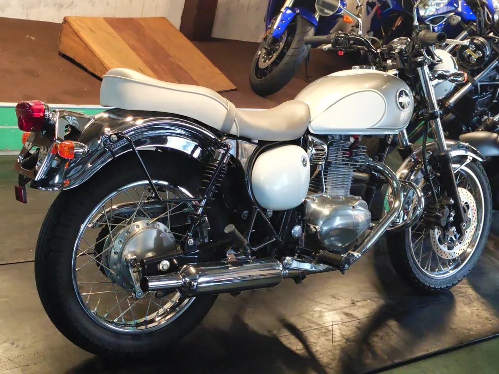 Kawasaki Estrella, white/silver, фото 3