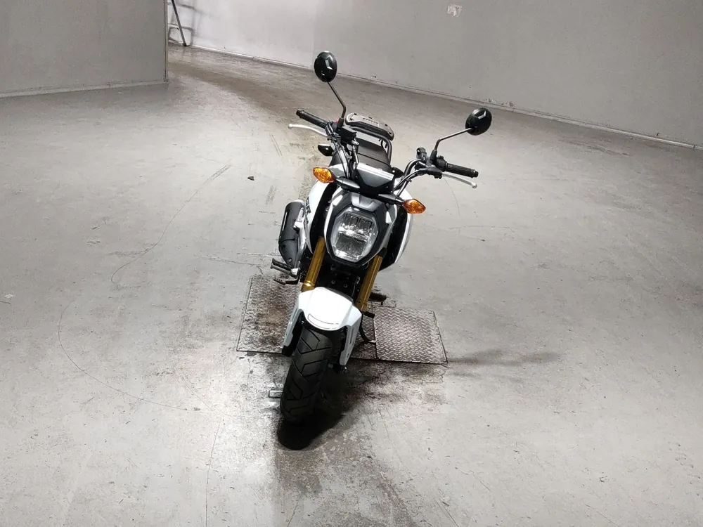 Honda Grom, белый, фото 3