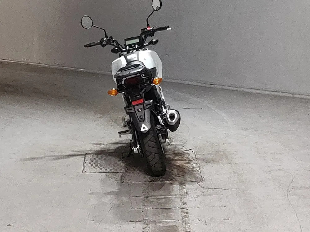 Honda Grom, белый, фото 4