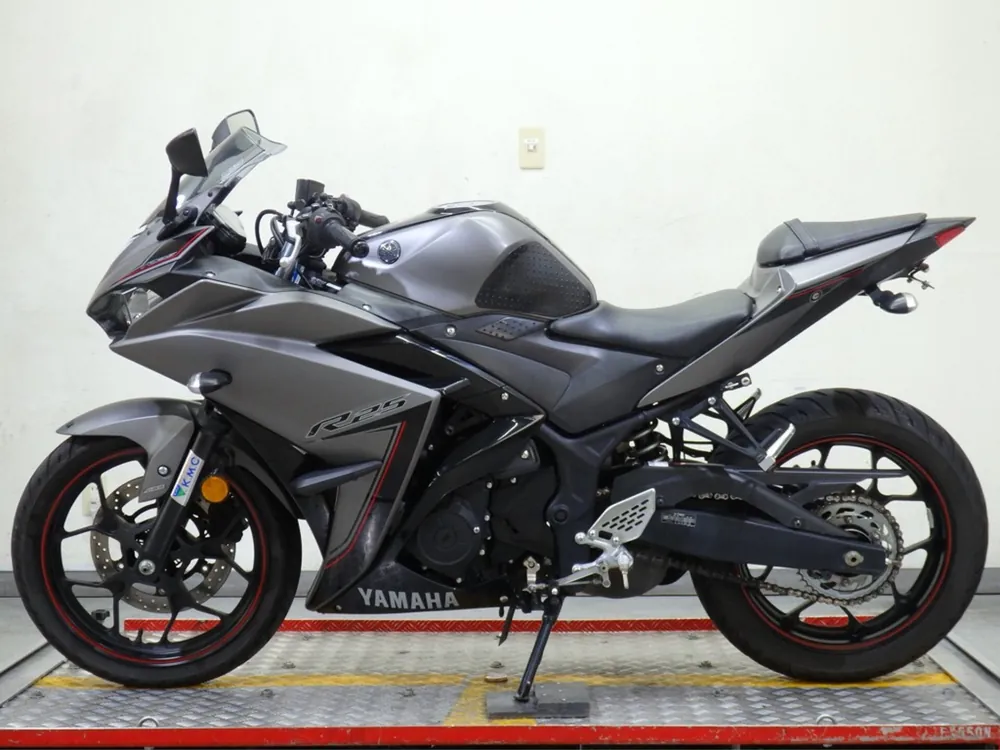 Yamaha YZF-R25, серый, фото 2
