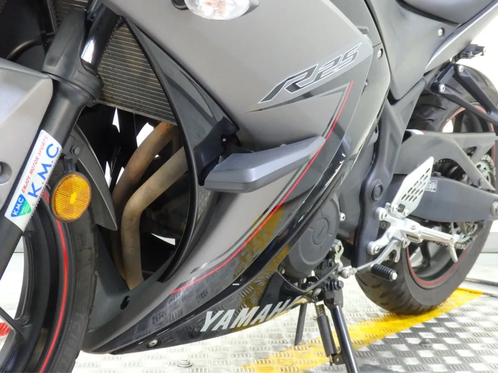 Yamaha YZF-R25, серый, фото 18