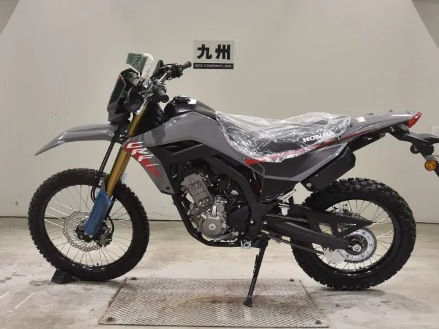 Honda CRF250 Rally, серый, фото 2