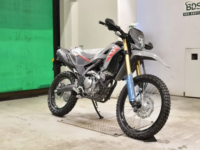 Honda CRF250 Rally, серый, фото 3