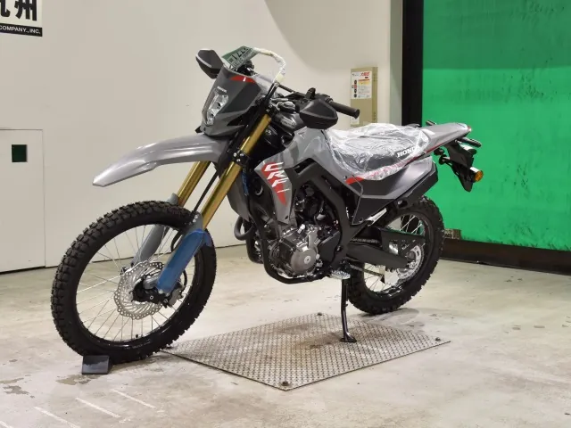 Honda CRF250 Rally, серый, фото 4