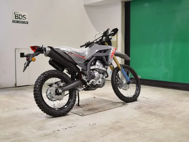 Honda CRF250 Rally, серый, фото 5
