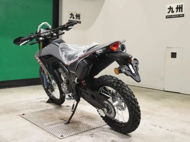 Honda CRF250 Rally, серый, фото 6