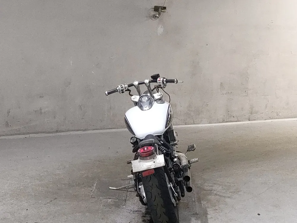 Yamaha Drag Star 1996, белый, фото 4