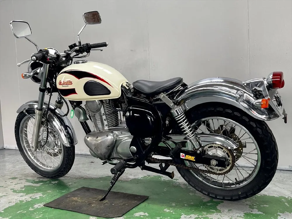 Kawasaki Estrella RS 2000, фото 8